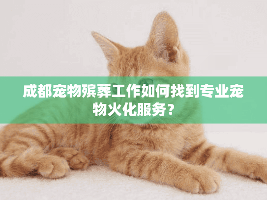 成都宠物殡葬工作如何找到专业宠物火化服务？