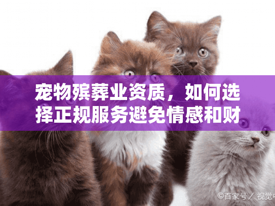 宠物殡葬业资质，如何选择正规服务避免情感和财务损失?