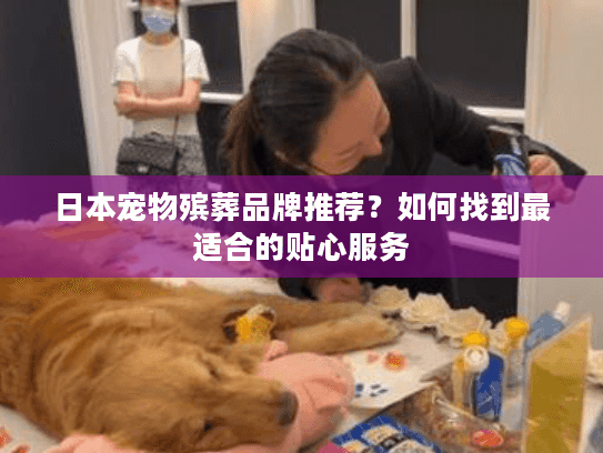 日本宠物殡葬品牌推荐？如何找到最适合的贴心服务