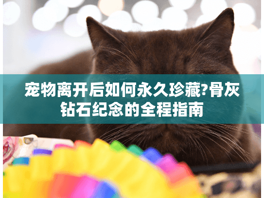 宠物离开后如何永久珍藏?骨灰钻石纪念的全程指南