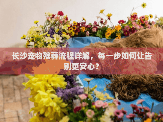 长沙宠物殡葬流程详解，每一步如何让告别更安心？