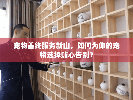 宠物善终服务新山，如何为你的宠物选择贴心告别？