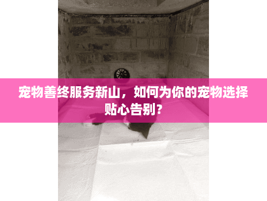 宠物善终服务新山，如何为你的宠物选择贴心告别？