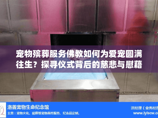宠物殡葬服务佛教如何为爱宠圆满往生？探寻仪式背后的慈悲与慰藉