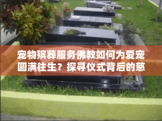 宠物殡葬服务佛教如何为爱宠圆满往生？探寻仪式背后的慈悲与慰藉
