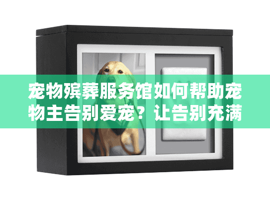 宠物殡葬服务馆如何帮助宠物主告别爱宠？让告别充满温暖仪式感