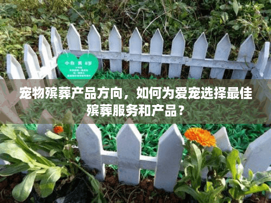 宠物殡葬产品方向，如何为爱宠选择最佳殡葬服务和产品？