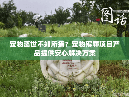 宠物离世不知所措？宠物殡葬项目产品提供安心解决方案