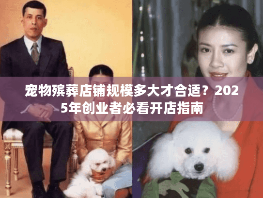 宠物殡葬店铺规模多大才合适？2025年创业者必看开店指南