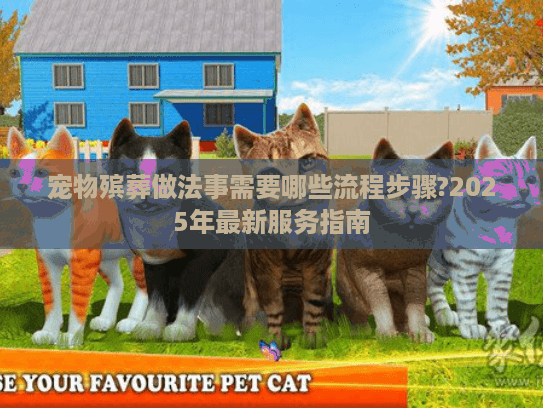 宠物殡葬做法事需要哪些流程步骤?2025年最新服务指南