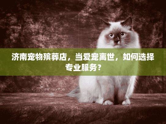 济南宠物殡葬店，当爱宠离世，如何选择专业服务？