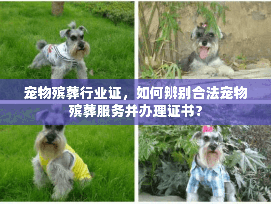 宠物殡葬行业证，如何辨别合法宠物殡葬服务并办理证书？