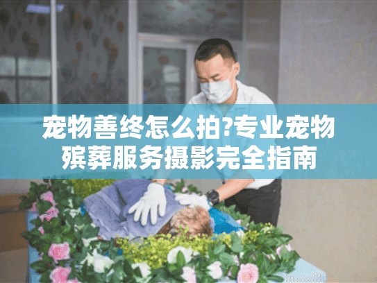 宠物善终怎么拍?专业宠物殡葬服务摄影完全指南