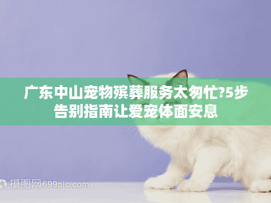 广东中山宠物殡葬服务太匆忙?5步告别指南让爱宠体面安息