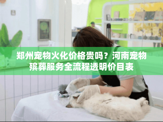 郑州宠物火化价格贵吗？河南宠物殡葬服务全流程透明价目表