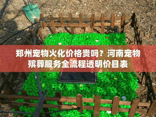 郑州宠物火化价格贵吗？河南宠物殡葬服务全流程透明价目表