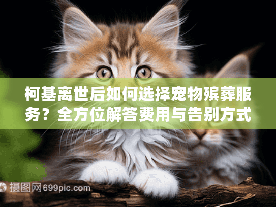 柯基离世后如何选择宠物殡葬服务？全方位解答费用与告别方式