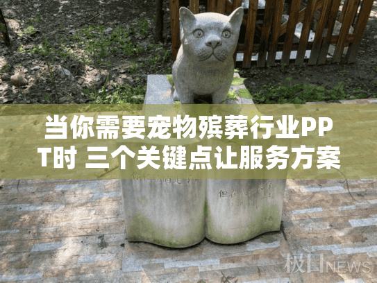 当你需要宠物殡葬行业PPT时 三个关键点让服务方案脱颖而出
