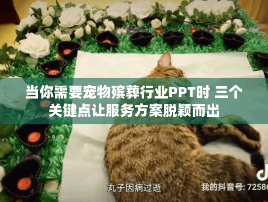 当你需要宠物殡葬行业PPT时 三个关键点让服务方案脱颖而出