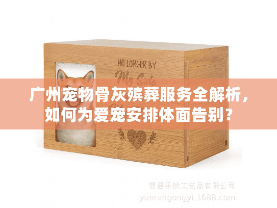 广州宠物骨灰殡葬服务全解析，如何为爱宠安排体面告别？