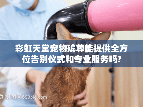 彩虹天堂宠物殡葬能提供全方位告别仪式和专业服务吗?