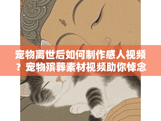 宠物离世后如何制作感人视频？宠物殡葬素材视频助你悼念爱宠