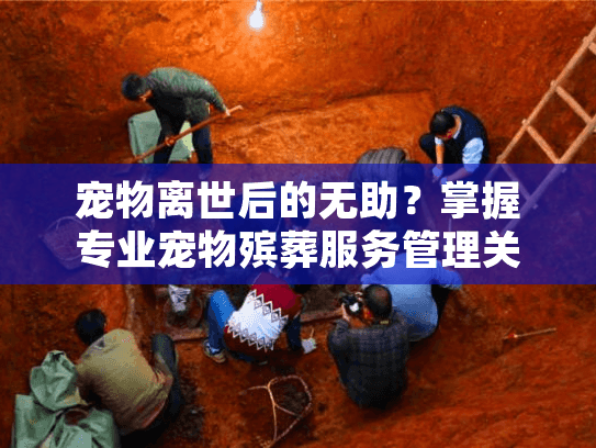 宠物离世后的无助？掌握专业宠物殡葬服务管理关键点