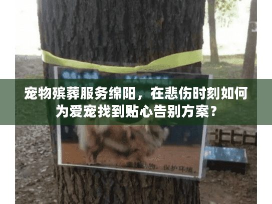 宠物殡葬服务绵阳，在悲伤时刻如何为爱宠找到贴心告别方案？