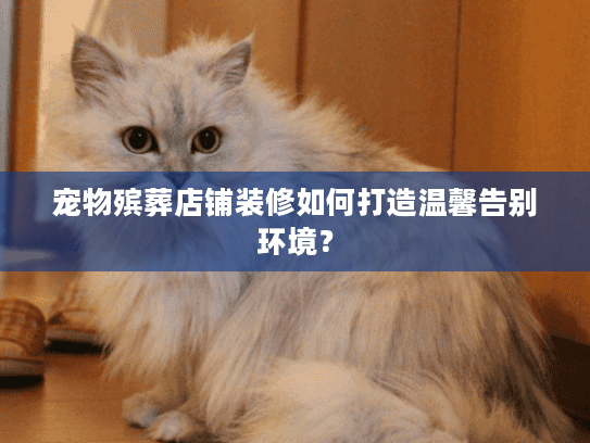 宠物殡葬店铺装修如何打造温馨告别环境？