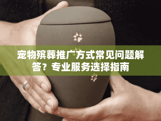 宠物殡葬推广方式常见问题解答？专业服务选择指南
