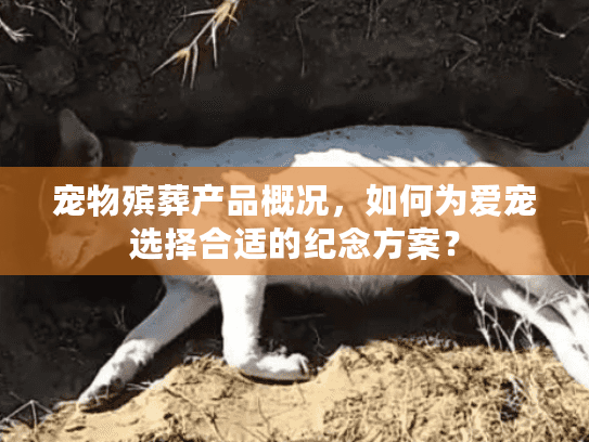 宠物殡葬产品概况，如何为爱宠选择合适的纪念方案？