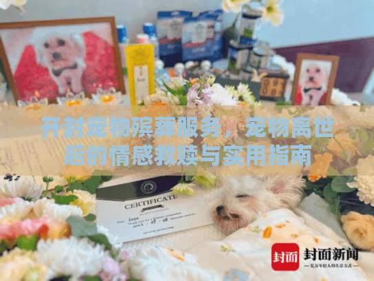 开封宠物殡葬服务，宠物离世后的情感救赎与实用指南