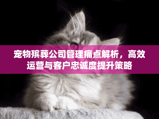 宠物殡葬公司管理痛点解析，高效运营与客户忠诚度提升策略