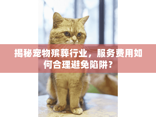 揭秘宠物殡葬行业，服务费用如何合理避免陷阱？