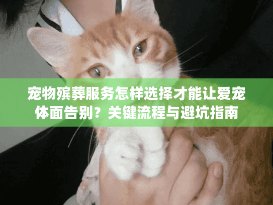 宠物殡葬服务怎样选择才能让爱宠体面告别？关键流程与避坑指南