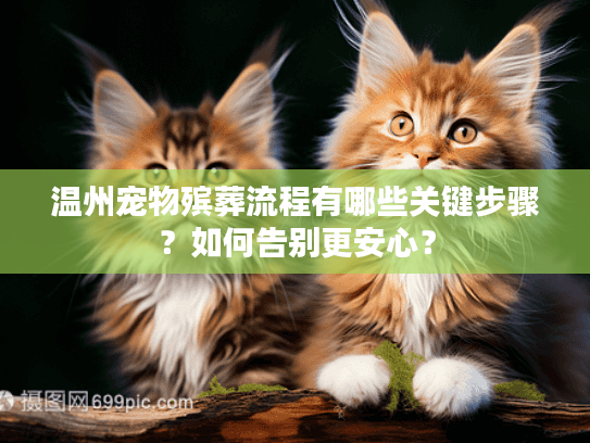 温州宠物殡葬流程有哪些关键步骤？如何告别更安心？