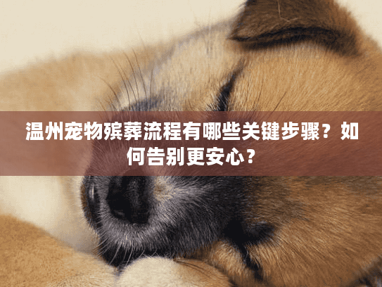 温州宠物殡葬流程有哪些关键步骤？如何告别更安心？