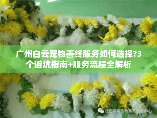 广州白云宠物善终服务如何选择?3个避坑指南+服务流程全解析