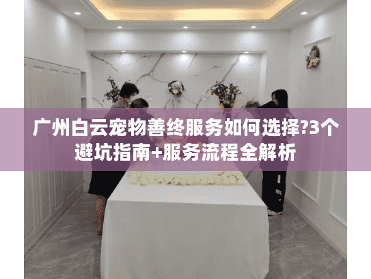广州白云宠物善终服务如何选择?3个避坑指南+服务流程全解析