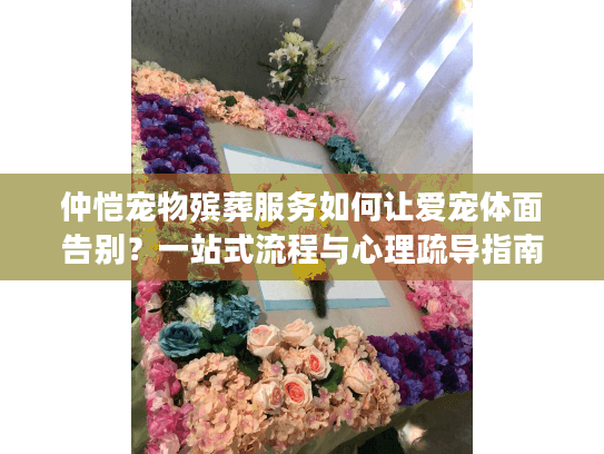 仲恺宠物殡葬服务如何让爱宠体面告别？一站式流程与心理疏导指南