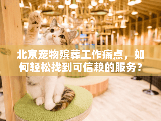 北京宠物殡葬工作痛点，如何轻松找到可信赖的服务？