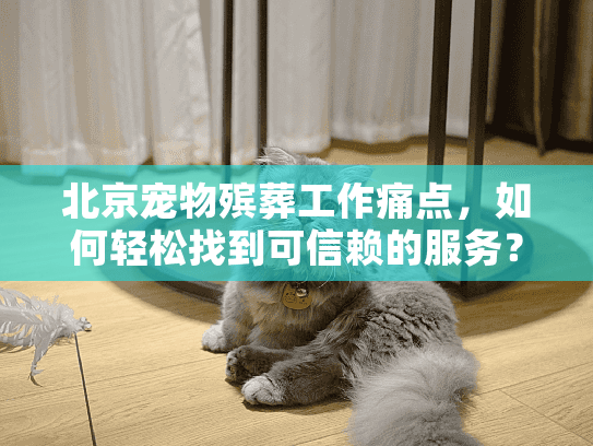 北京宠物殡葬工作痛点，如何轻松找到可信赖的服务？