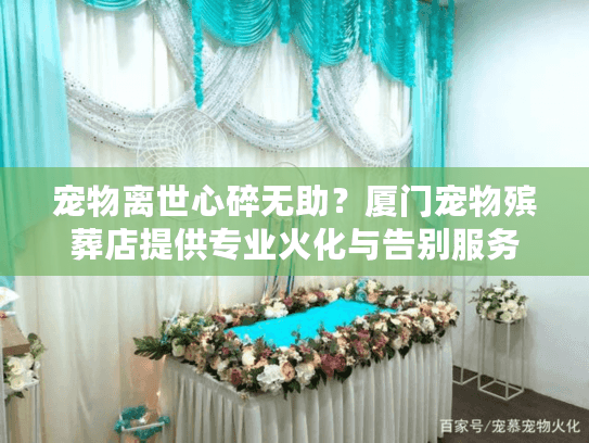 宠物离世心碎无助？厦门宠物殡葬店提供专业火化与告别服务