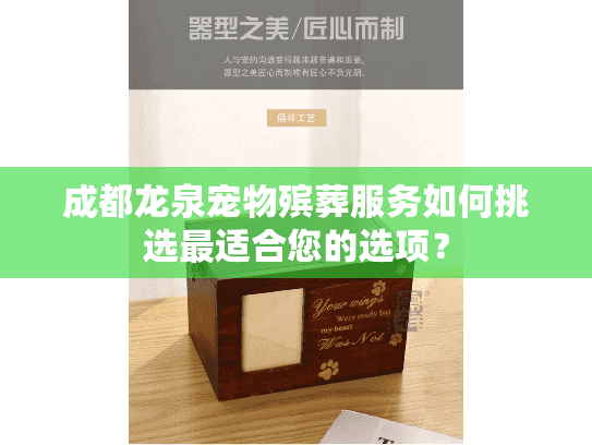 成都龙泉宠物殡葬服务如何挑选最适合您的选项？