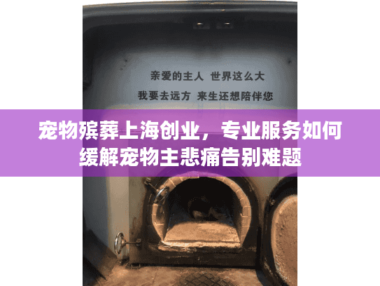 宠物殡葬上海创业，专业服务如何缓解宠物主悲痛告别难题