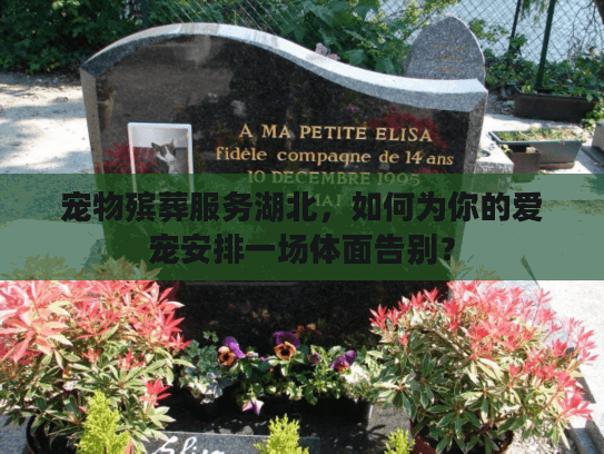 宠物殡葬服务湖北，如何为你的爱宠安排一场体面告别？