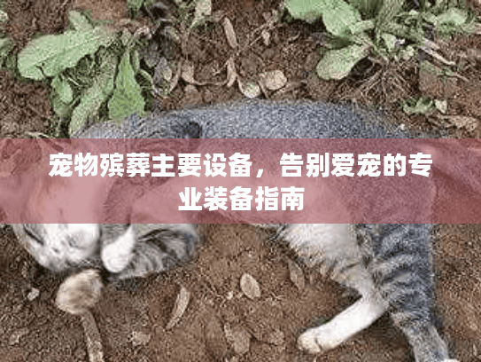 宠物殡葬主要设备，告别爱宠的专业装备指南