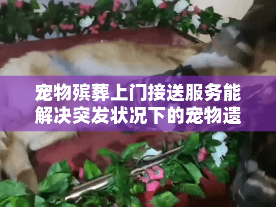 宠物殡葬上门接送服务能解决突发状况下的宠物遗体处理难题吗？