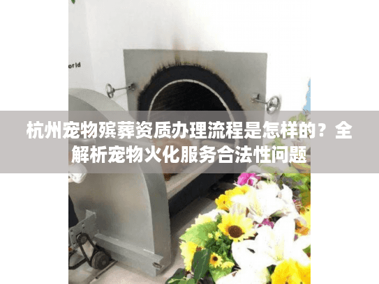 杭州宠物殡葬资质办理流程是怎样的？全解析宠物火化服务合法性问题