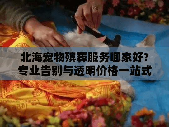 北海宠物殡葬服务哪家好?专业告别与透明价格一站式解决